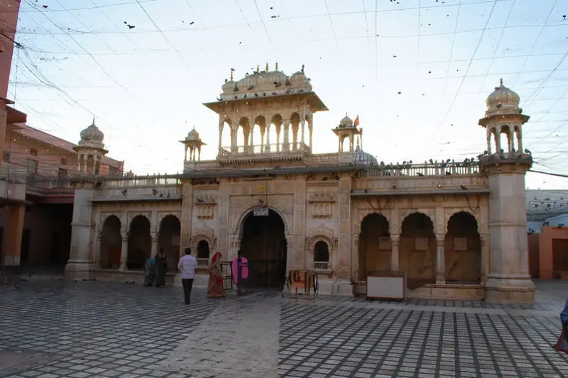 Karni Mata Temple Bikaner